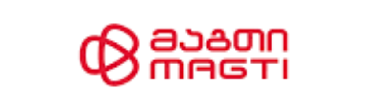 Partner logo 6