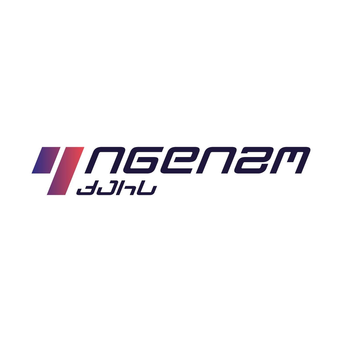 Partner logo 9